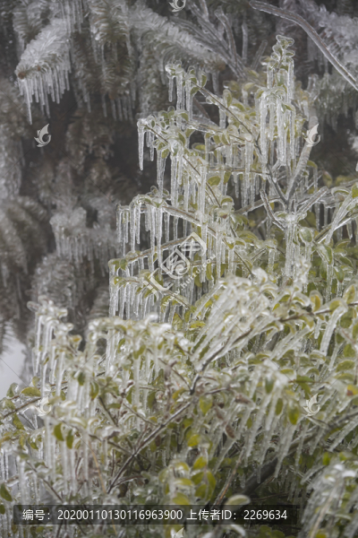 冰雪美圖
