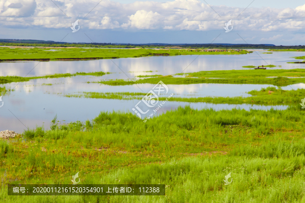 嫩江風(fēng)光沼澤濕地家鄉(xiāng)美草原唯美