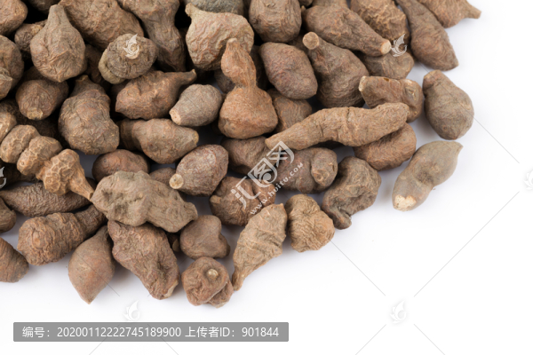 中藥蕨麻白底攝影圖