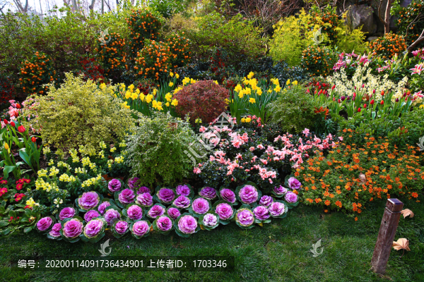 花壇