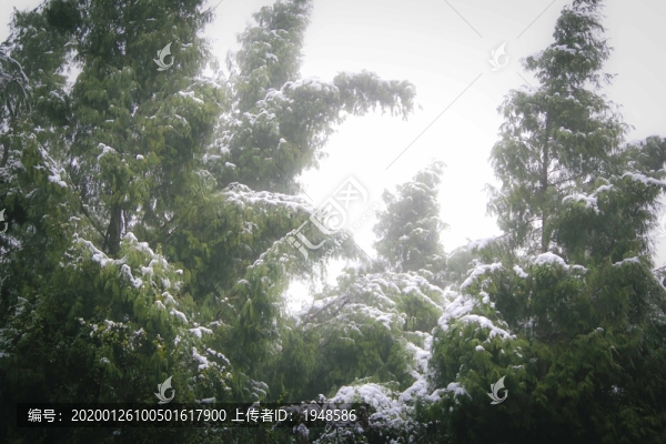 北京頤和園雪景