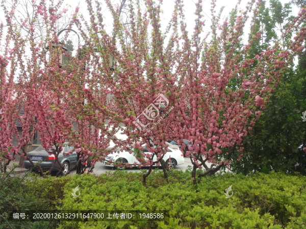 北京頤和園