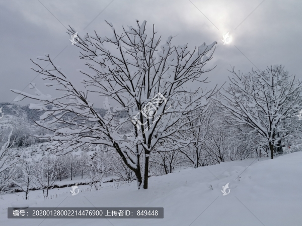 雪地