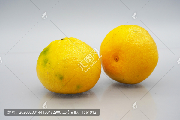 橘子