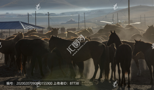 馬