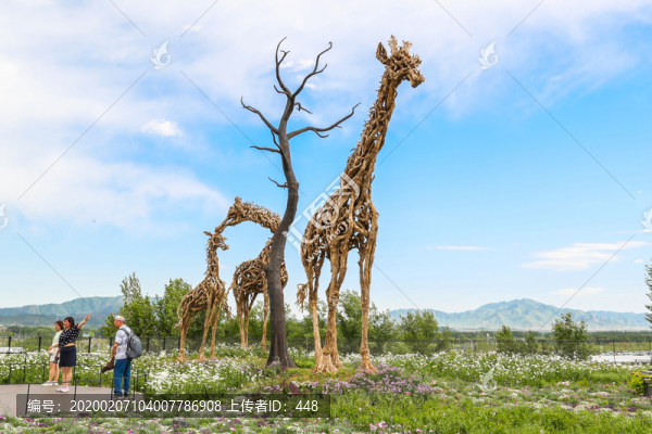 北京世界園藝博覽會根雕長頸鹿