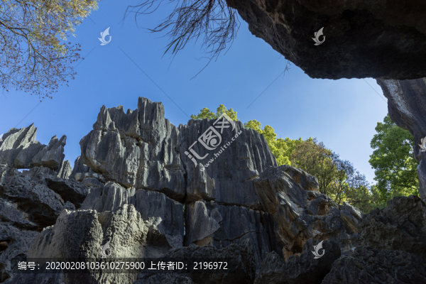 石林那片天