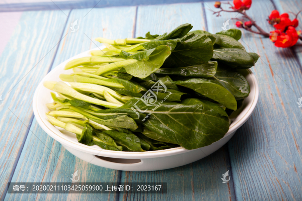蒸廣東菜心