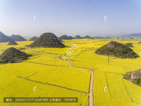航拍羅平金雞峰叢油菜花海