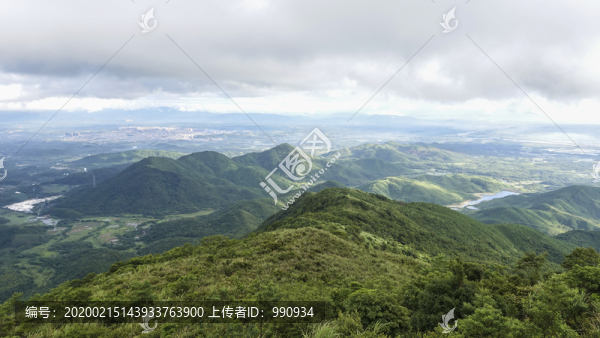 山
