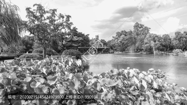 公園