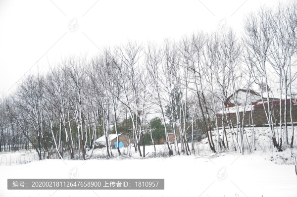 鄉(xiāng)村雪景