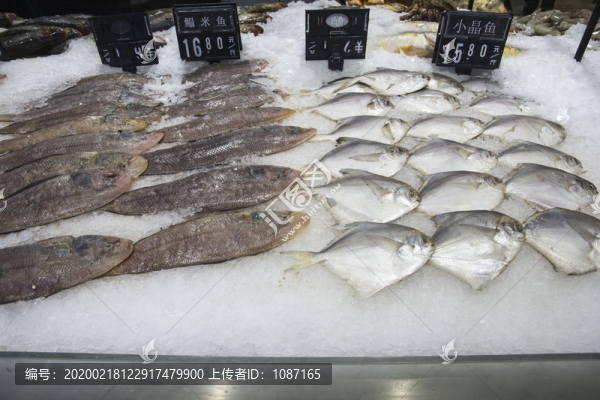 鰨米魚(yú)