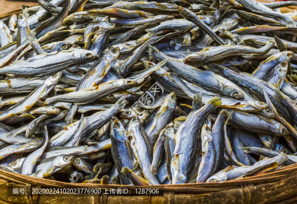 天曬魚(yú)