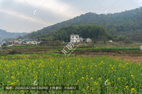 鄉(xiāng)村春天美景