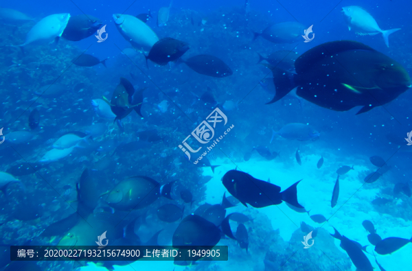 海底世界