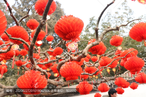 紅燈籠