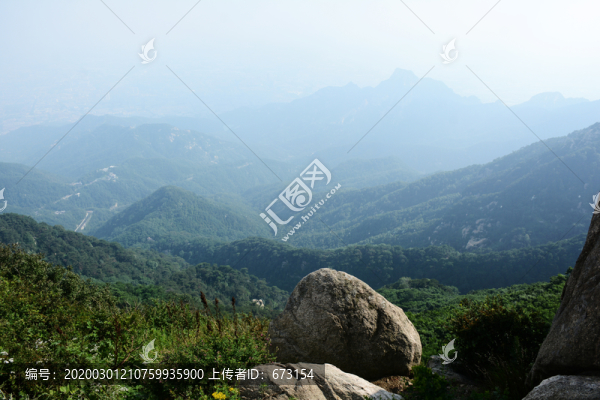 泰山