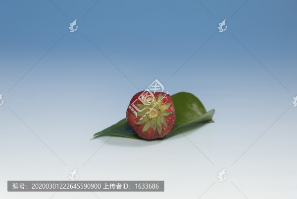 新鮮草莓