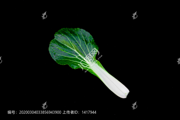 青菜葉子