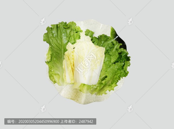 大白菜生菜
