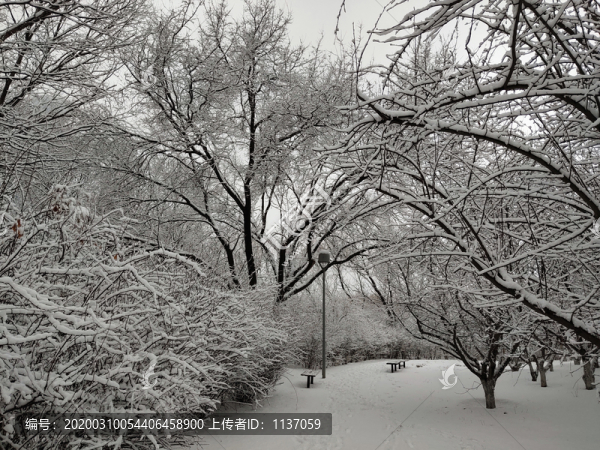北京奧林匹克森林公園雪景