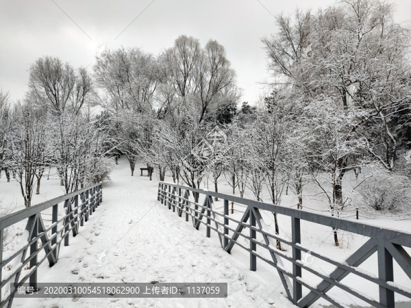 北京奧林匹克森林公園雪景