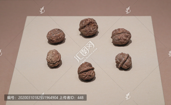 唐代核桃