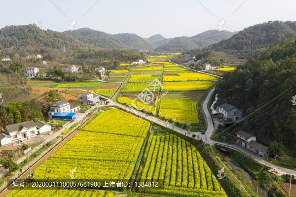 春天鄉(xiāng)村公路