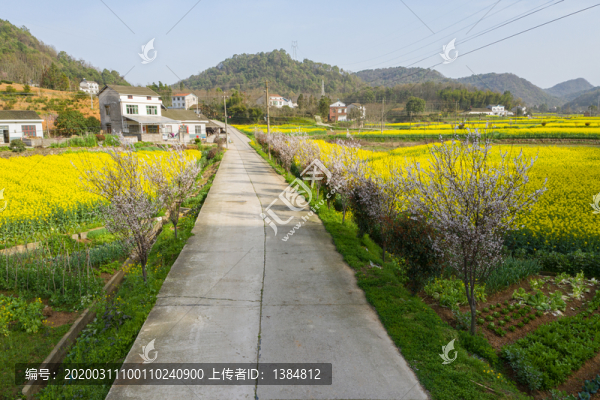 春天鄉(xiāng)村公路