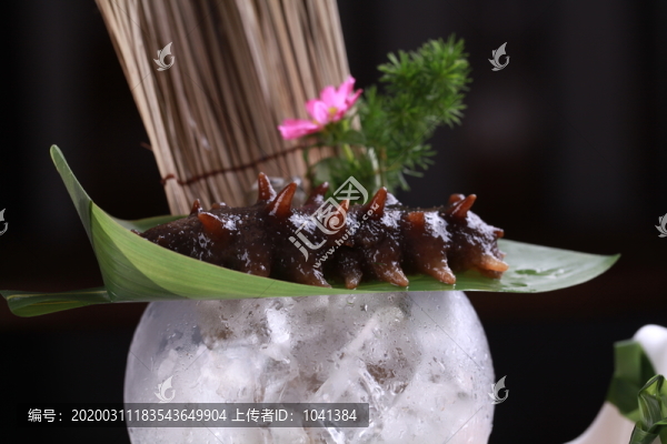 冰鎮(zhèn)遼參