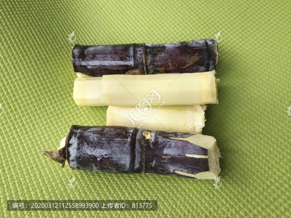 廣西甘蔗
