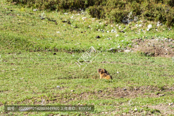 新疆獨(dú)庫公路風(fēng)光喬爾瑪