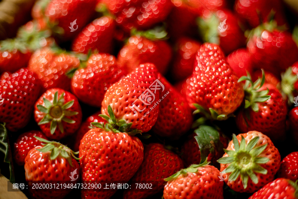 新鮮草莓