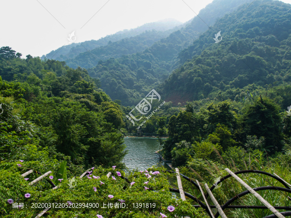 河源野趣溝