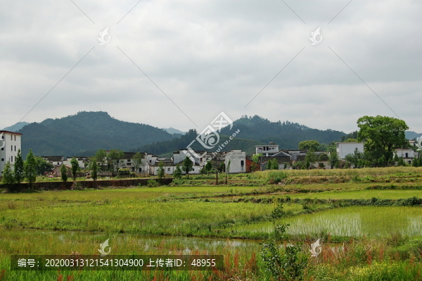 江西婺源田園風(fēng)光