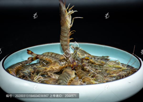 基圍蝦