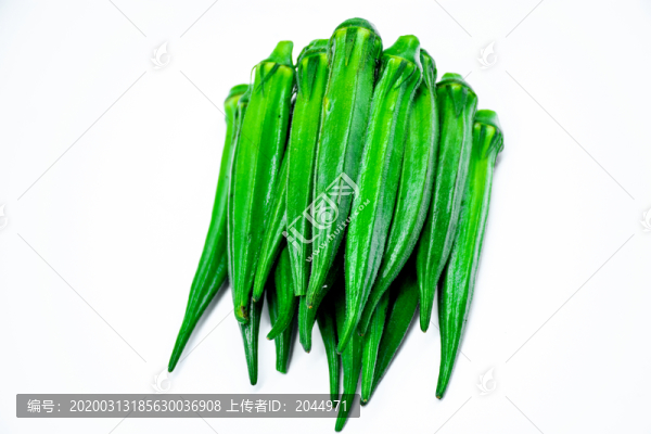 秋葵