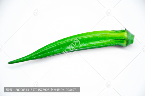 秋葵