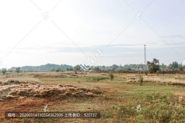 北疆秋景