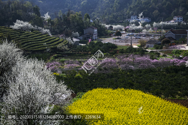 春暖花開(kāi)
