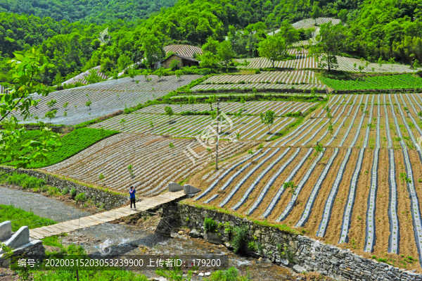 鎮(zhèn)坪地膜四