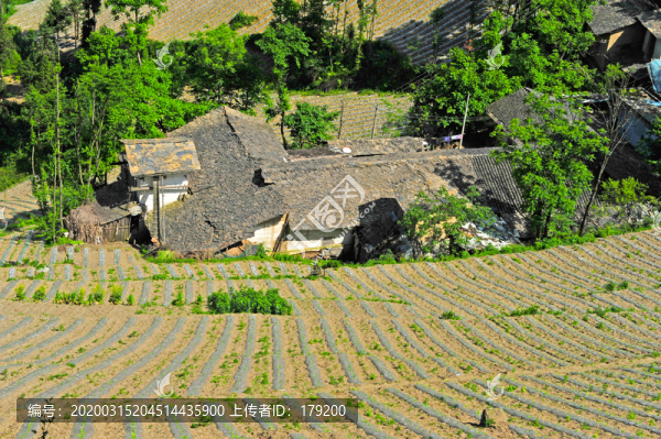 鎮(zhèn)坪地膜五