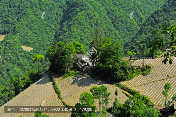 鎮(zhèn)坪地膜四