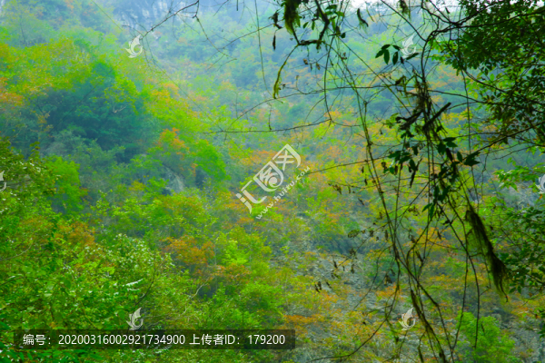 十八里長峽三