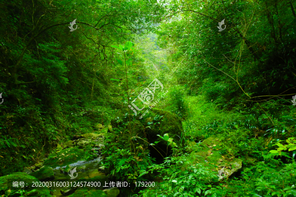 十八里長峽三