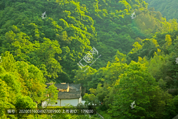 山中宮殿