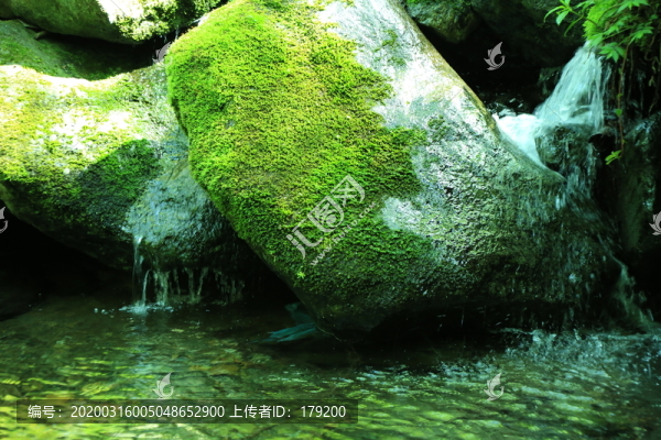 河中石