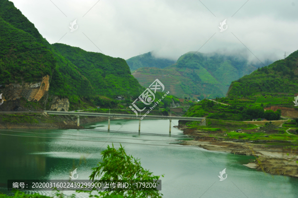 新洲八