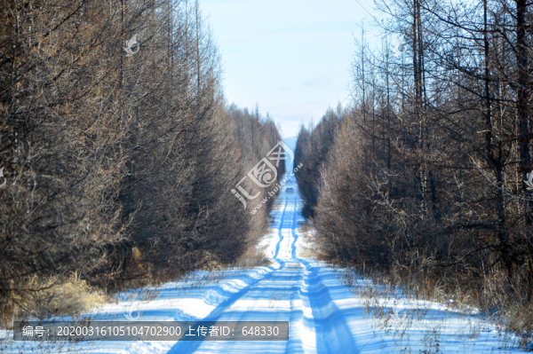 林區(qū)雪路